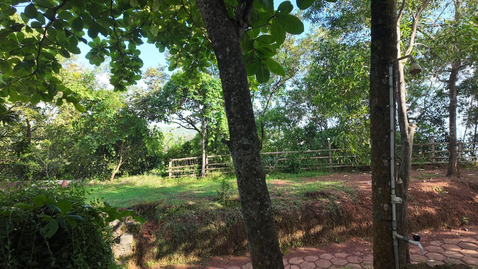 Malika Ayurveda Beach Retreat