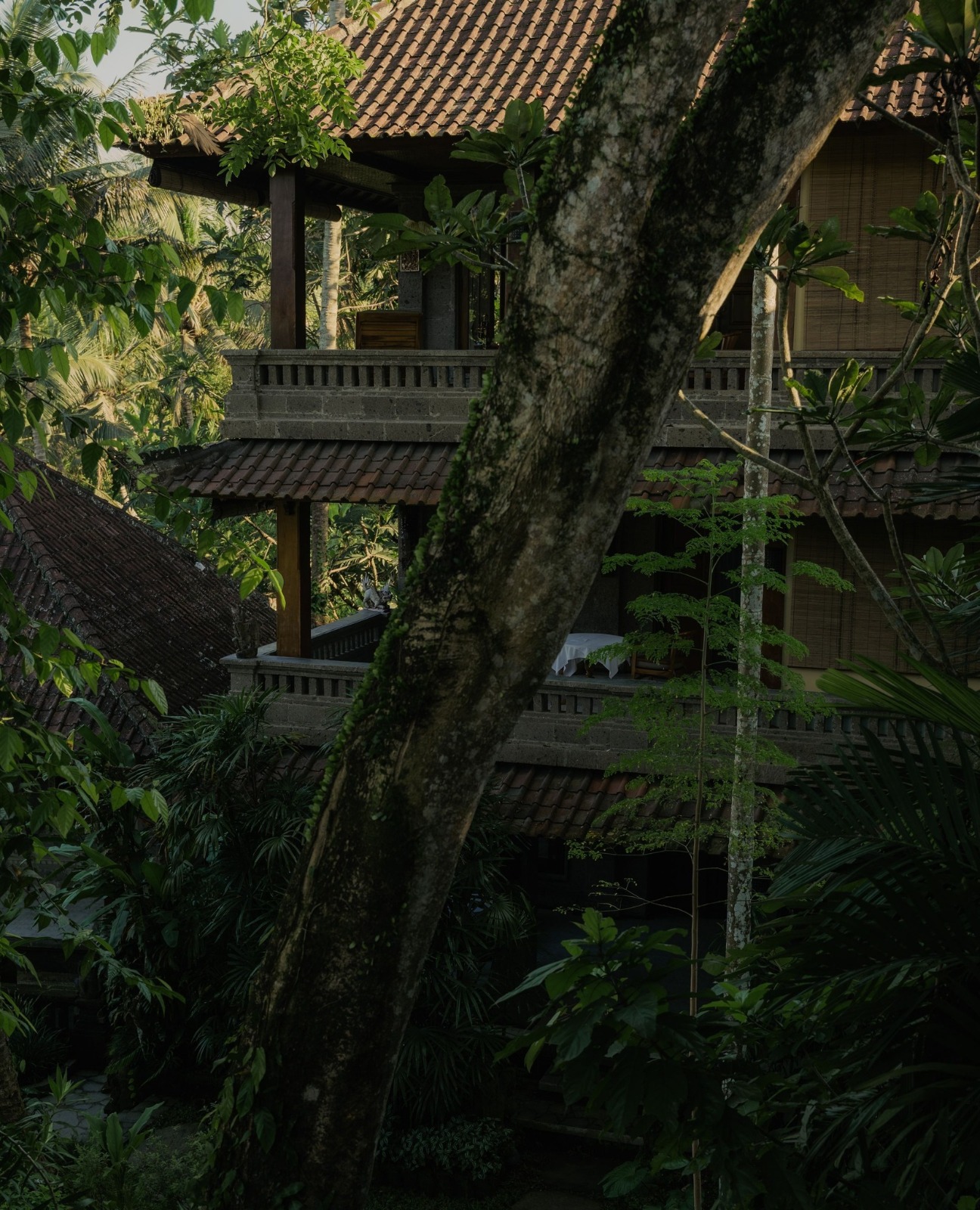 Oneworld Ayurveda Ubud