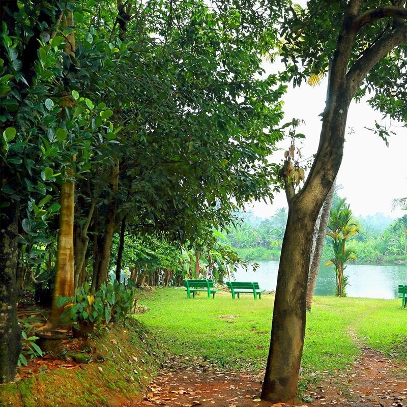 Sarathy Ayurvedic Hospital