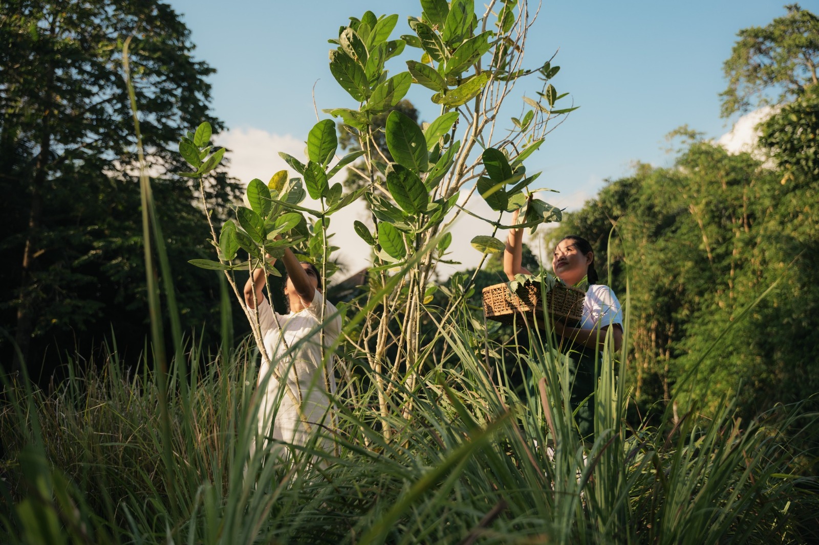 Oneworld Ayurveda Ubud