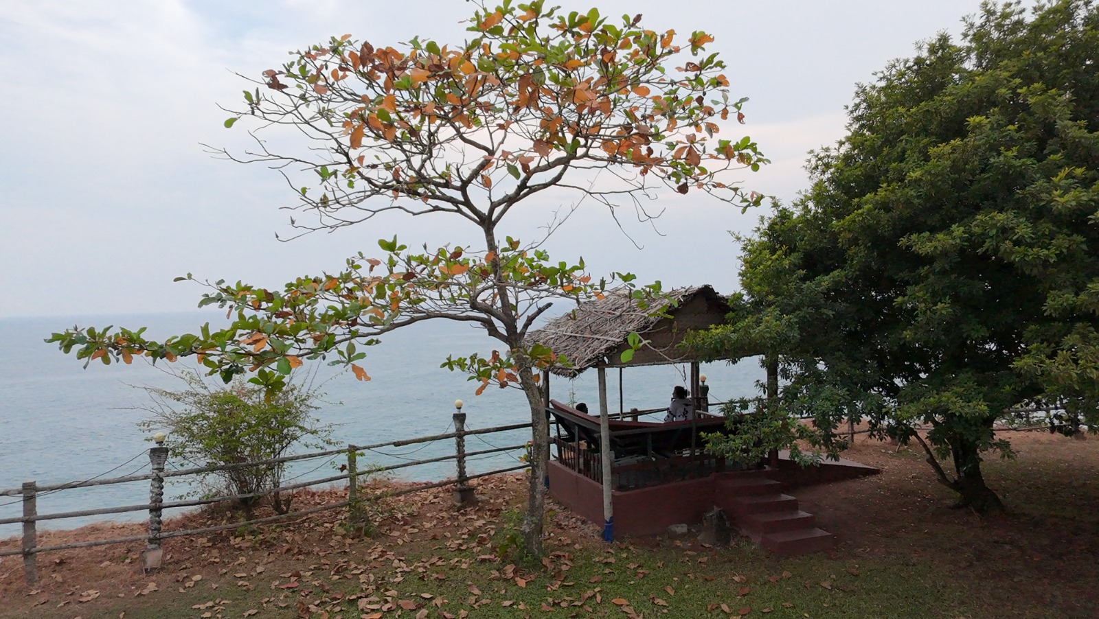 Malika Ayurveda Beach Retreat