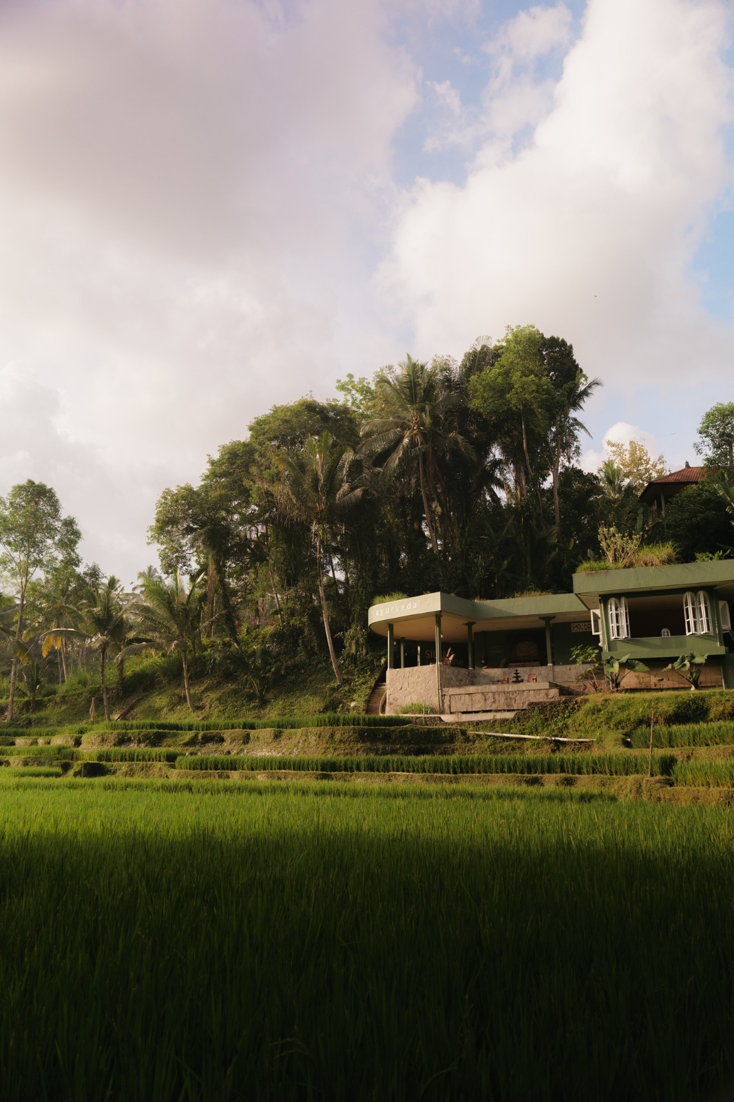 Oneworld Ayurveda Ubud