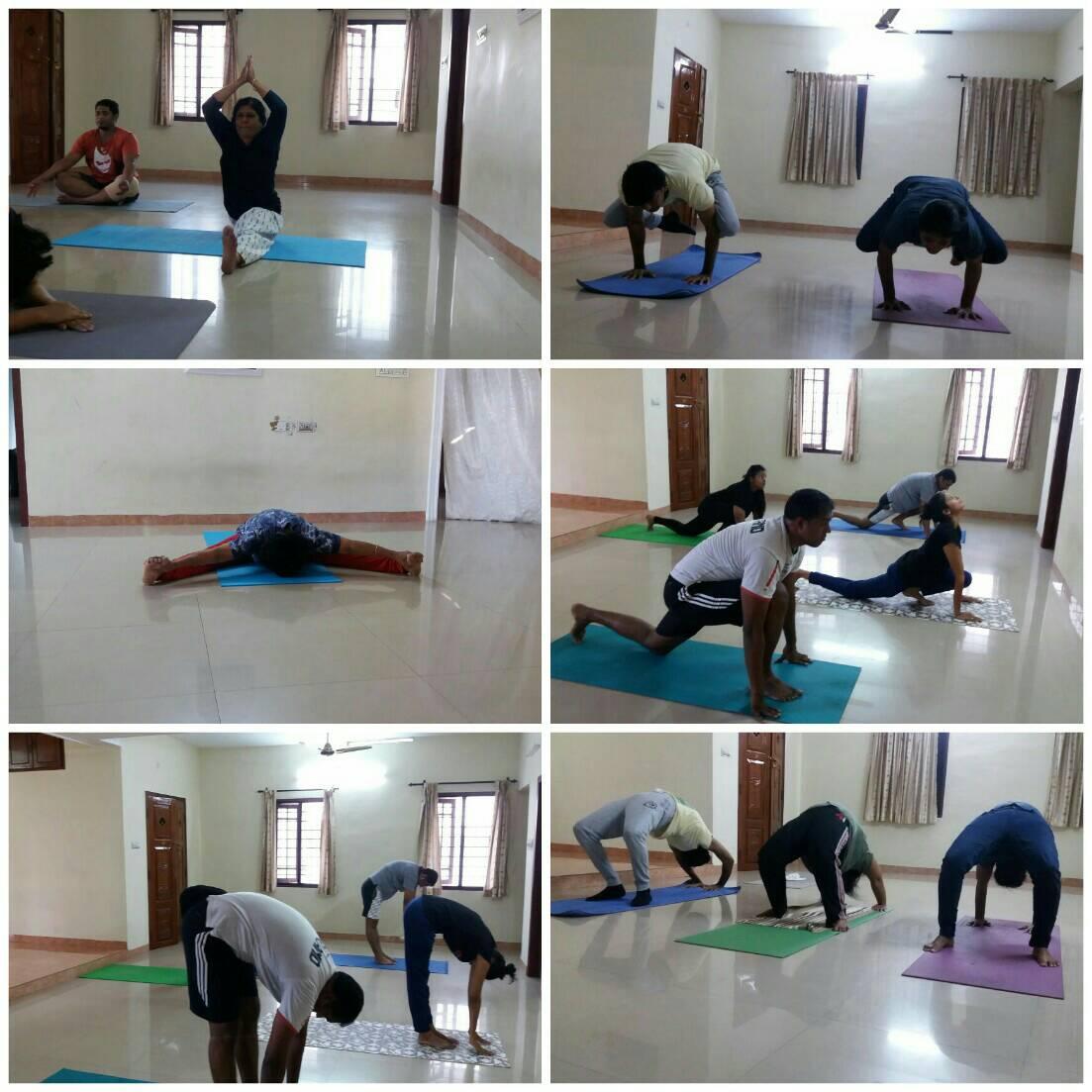 Punarjani Yoga Centre