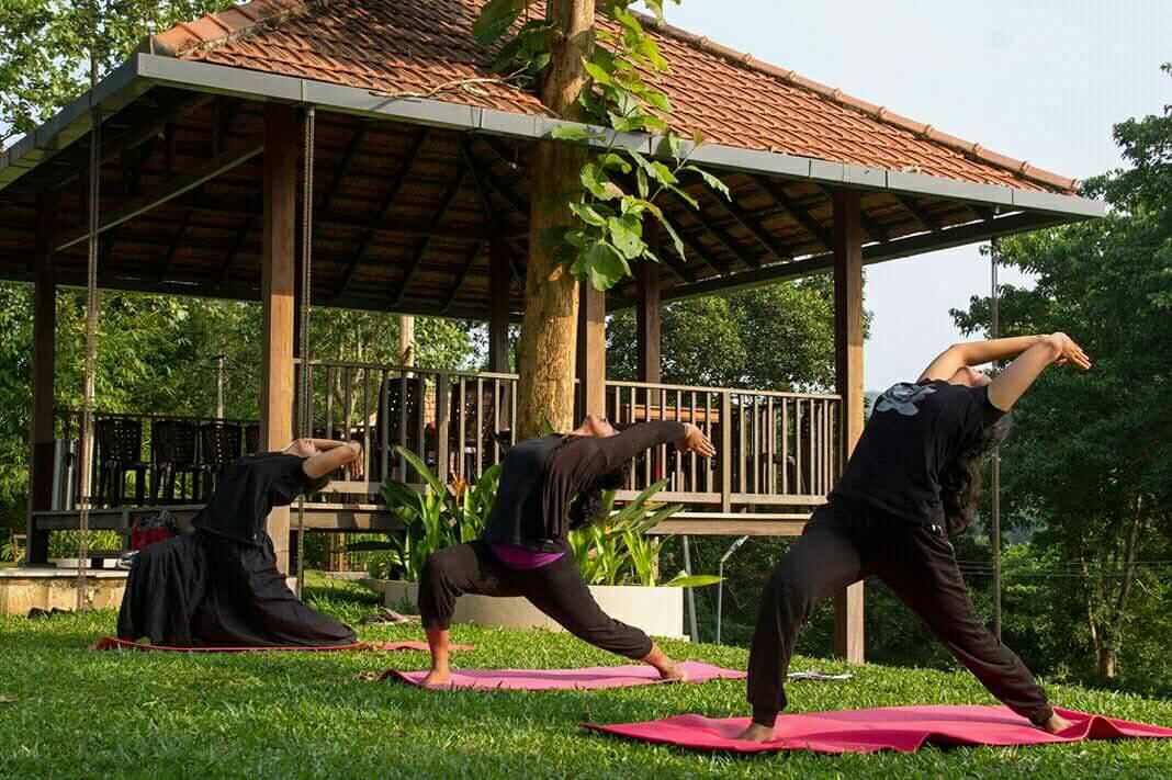 Punarjani Yoga Centre