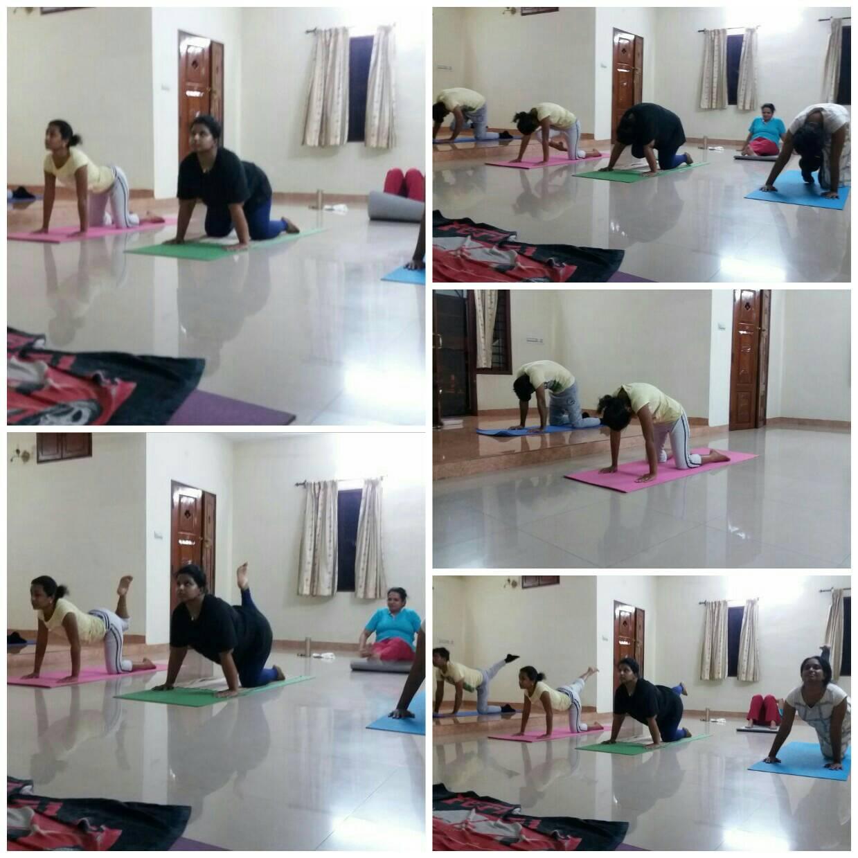 Punarjani Yoga Centre