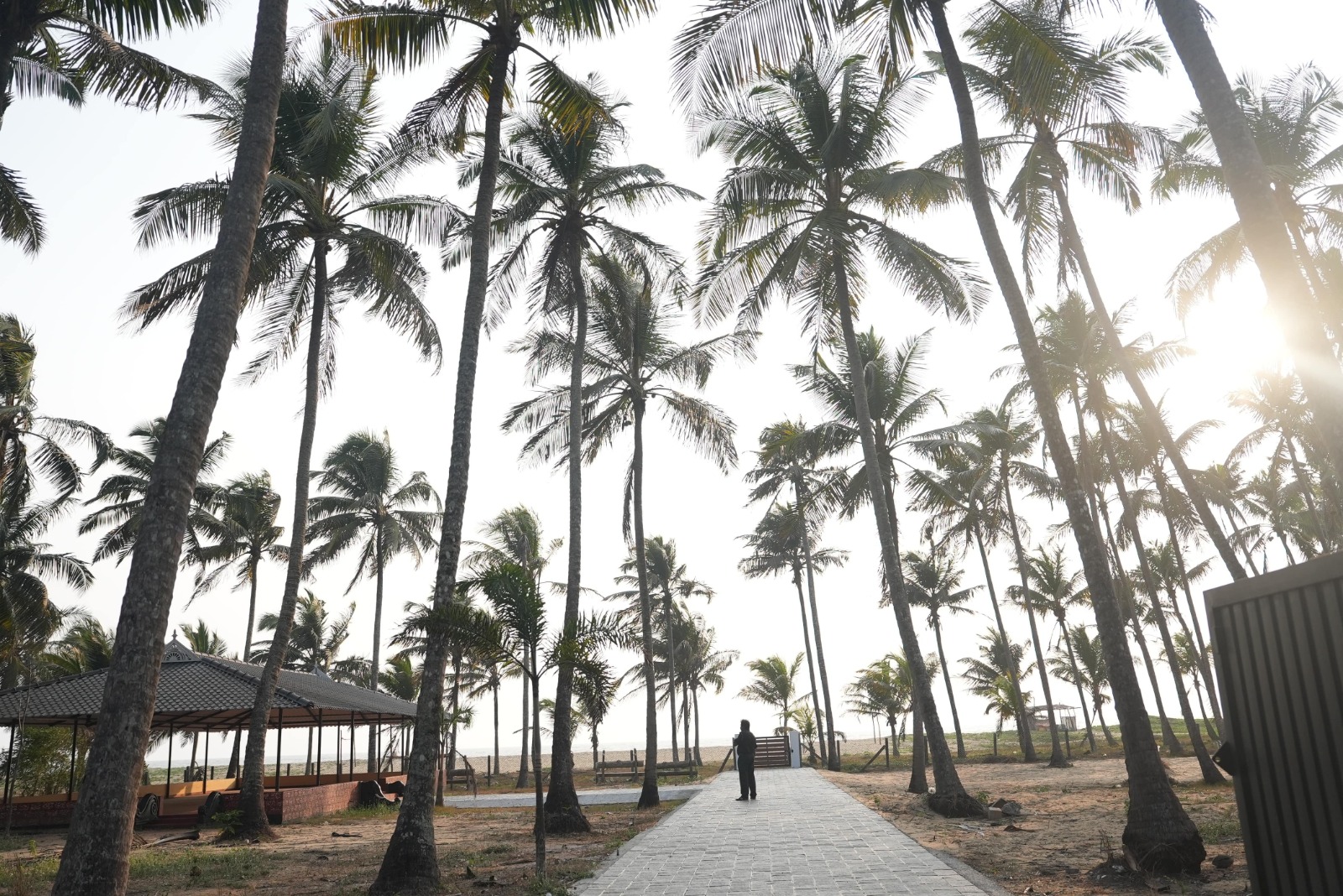 Ahalia Ayurvedic Hospital Valapad 