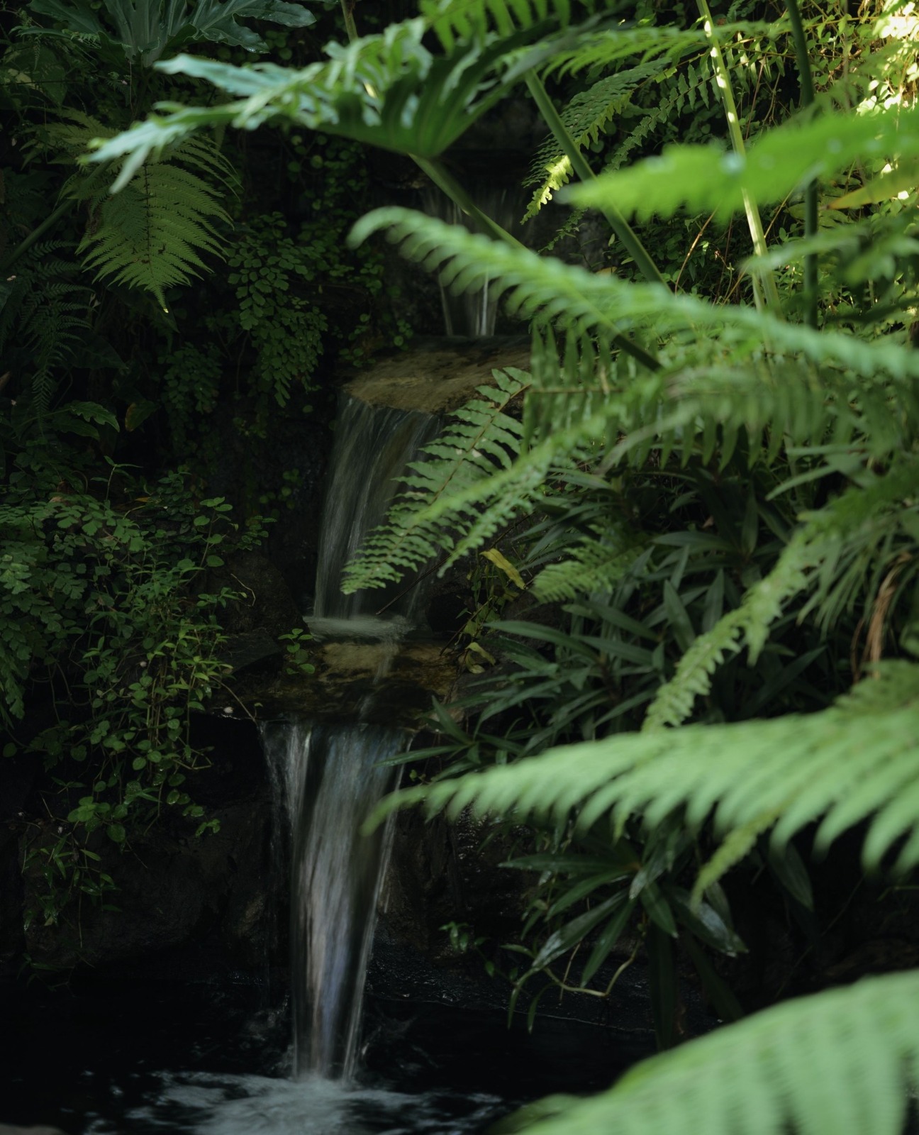 Oneworld Ayurveda Ubud