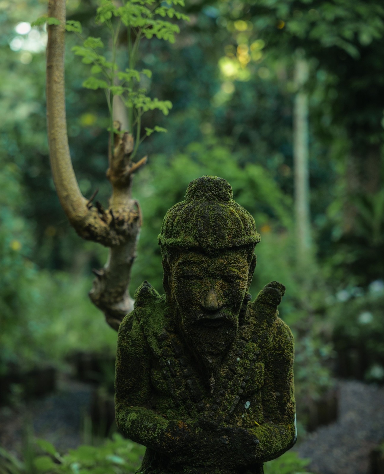 Oneworld Ayurveda Ubud