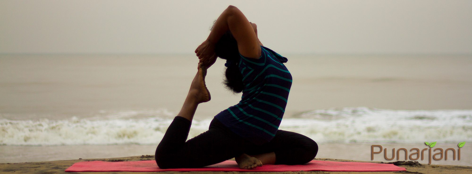 Punarjani Yoga Centre