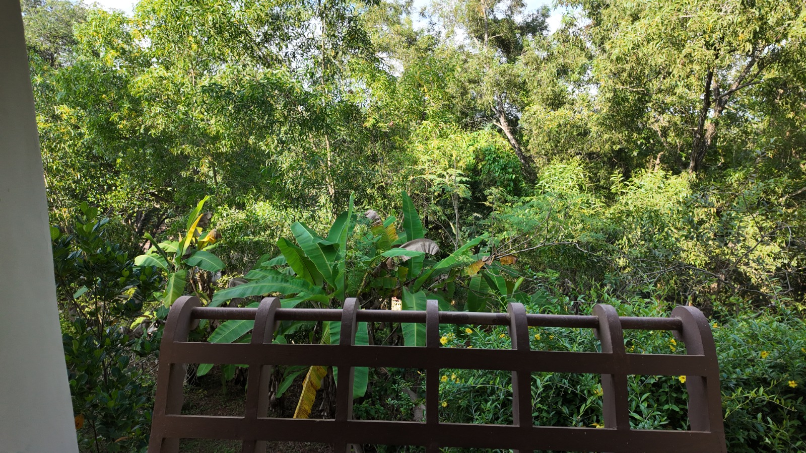 Malika Ayurveda Beach Retreat