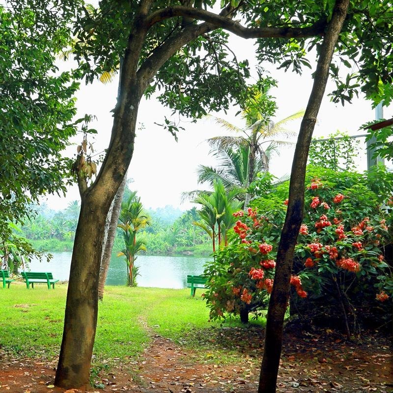 Sarathy Ayurvedic Hospital