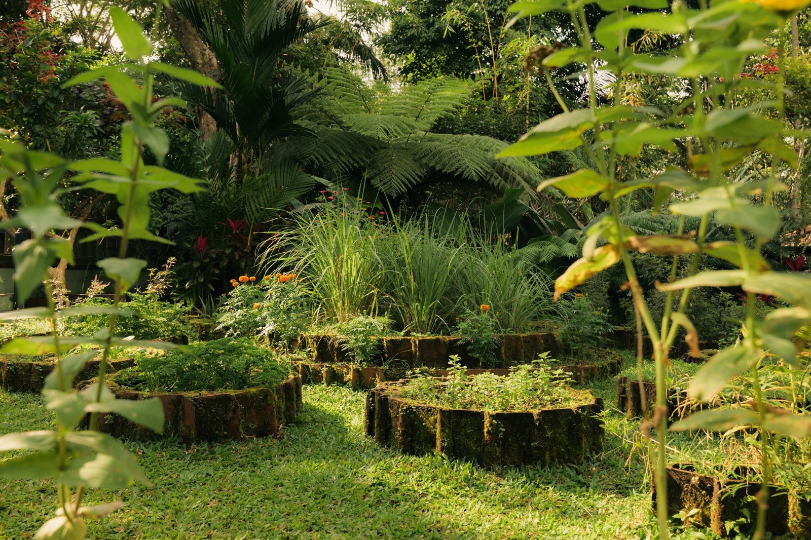 Oneworld Ayurveda Ubud